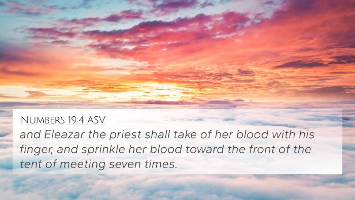 Numbers 19:4 ASV Bible Verse Image