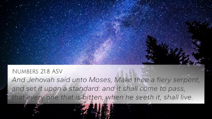 Numbers 21:8 ASV Bible Verse Image