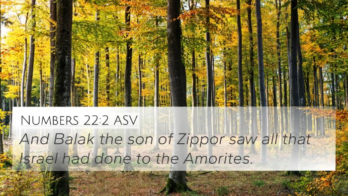 Numbers 22:2 ASV Bible Verse Image