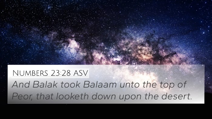 Numbers 23:28 ASV Bible Verse Image