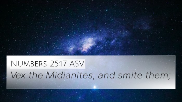 Numbers 25:17 ASV 4K Wallpaper - Vex the Midianites, and smite - 4K Wallpaper Bible Verse