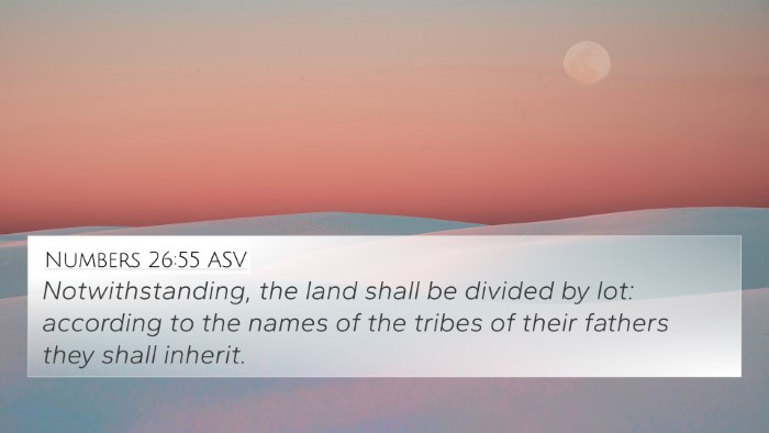 Numbers 26:55 ASV Bible Verse Image