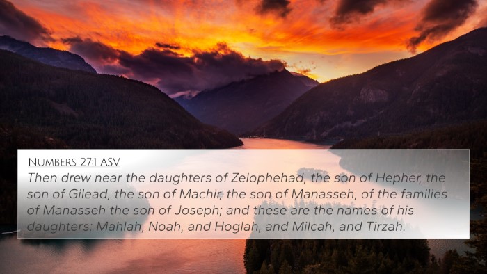 Numbers 27:1 ASV Bible Verse Image