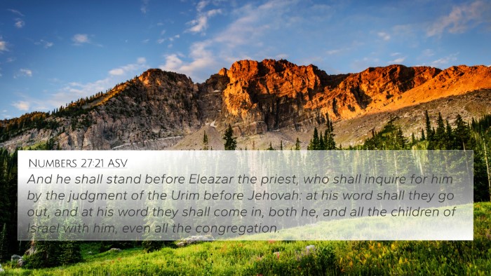 Numbers 27:21 ASV Bible Verse Image