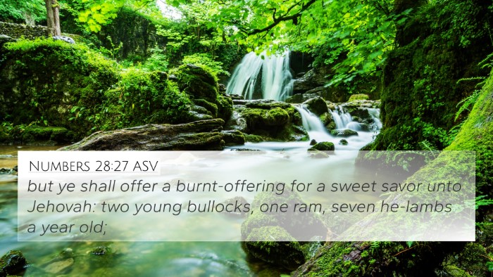 Numbers 28:27 ASV Bible Verse Image