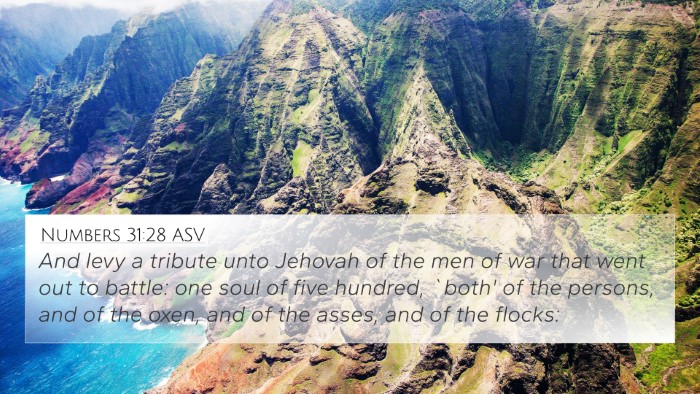 Numbers 31:28 ASV 4K Wallpaper - And levy a tribute unto Jehovah of the men of war - 4K Wallpaper Bible Verse