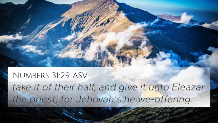 Numbers 31:29 ASV 4K Wallpaper - take it of their half, and give it unto Eleazar - 4K Wallpaper Bible Verse