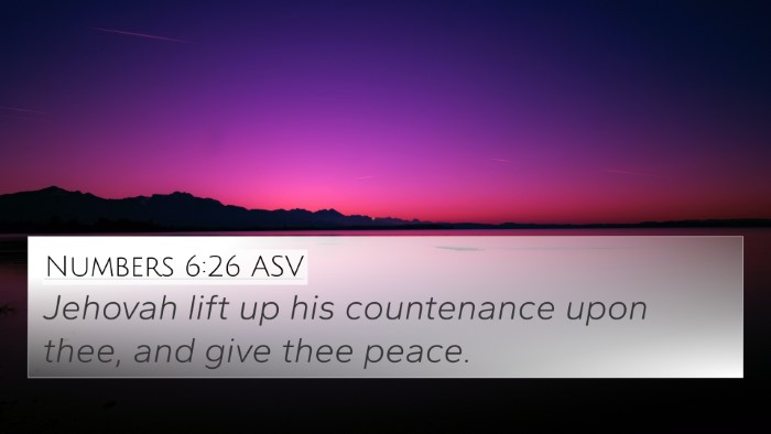 Numbers 6:26 ASV Bible Verse Image