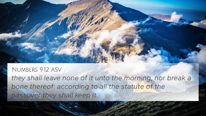 Numbers 9:12 ASV Bible Verse Image