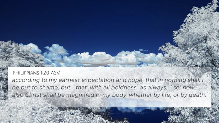 Philippians 1:20 ASV Bible Verse Image