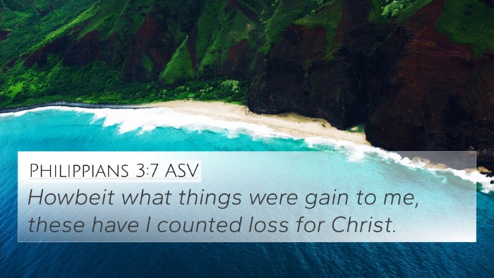 Philippians 3:7 ASV Bible Verse Image