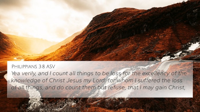 Philippians 3:8 ASV Bible Verse Image