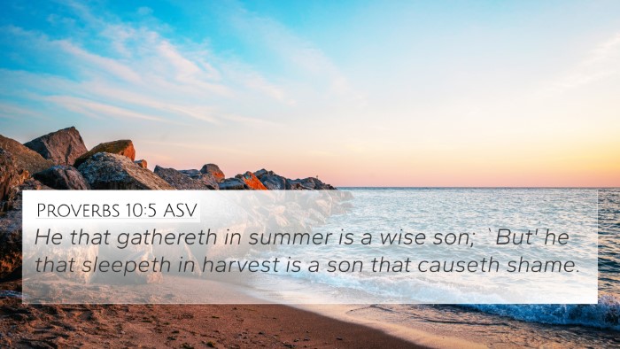 Proverbs 10:5 ASV Bible Verse Image