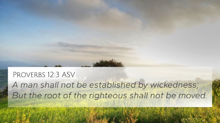 Proverbs 12:3 ASV Bible Verse Image