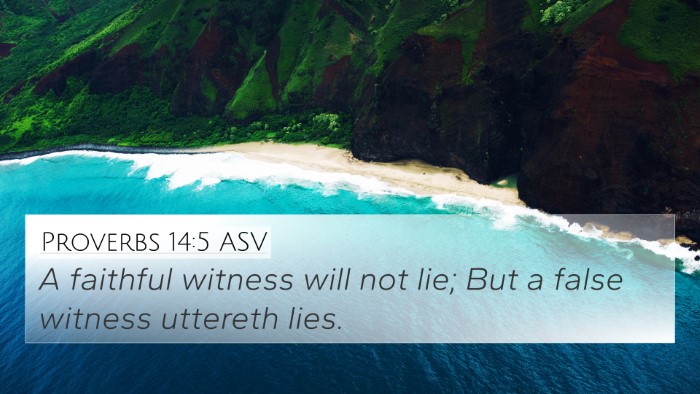 Proverbs 14:5 ASV Bible Verse Image