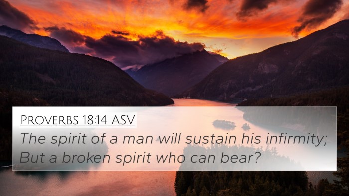 Proverbs 18:14 ASV Bible Verse Image