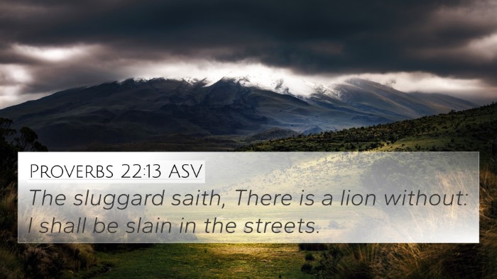 Proverbs 22:13 ASV Bible Verse Image