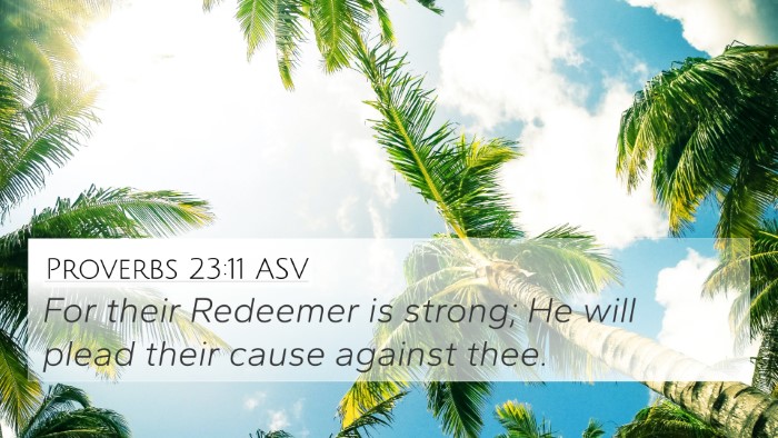 Proverbs 23:11 ASV Bible Verse Image