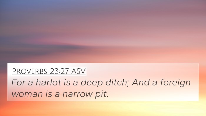 Proverbs 23:27 ASV Bible Verse Image