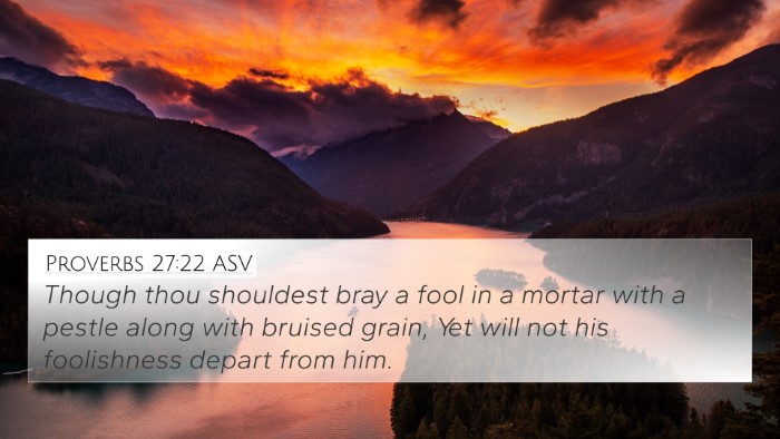 Proverbs 27:22 ASV 4K Wallpaper - Though thou shouldest bray a fool in a mortar - 4K Wallpaper Bible Verse
