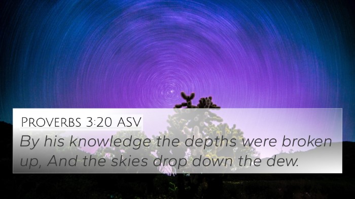 Proverbs 3:20 ASV Bible Verse Image