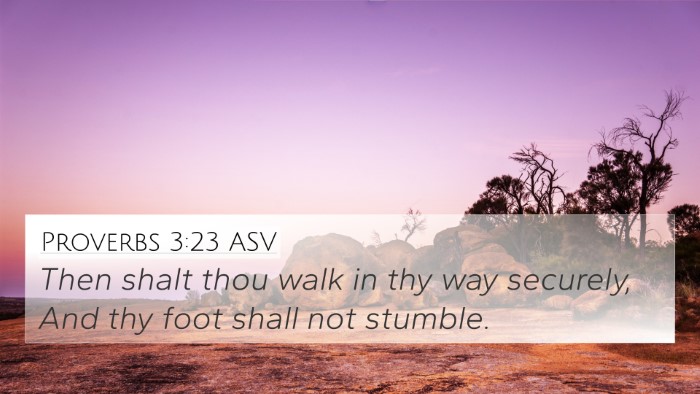 Proverbs 3:23 ASV Bible Verse Image