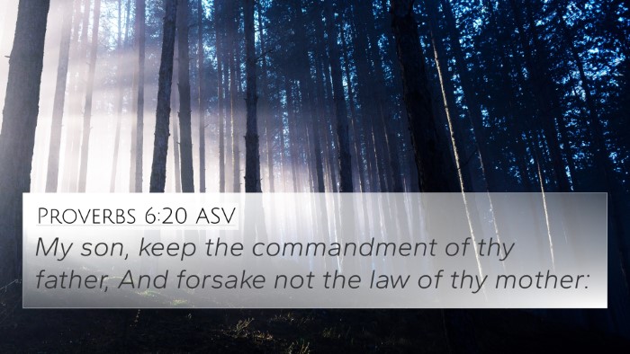 Proverbs 6:20 ASV Bible Verse Image