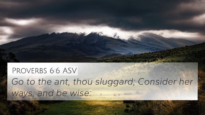 Proverbs 6:6 ASV 4K Wallpaper - Go to the ant, thou sluggard; Consider her ways, - 4K Wallpaper Bible Verse