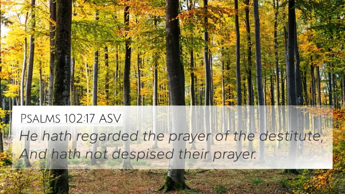 Psalms 102:17 ASV Bible Verse Image