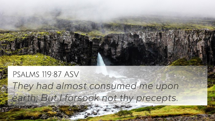 Psalms 119:87 ASV 4K Wallpaper - They had almost consumed me upon earth; But I - 4K Wallpaper Bible Verse