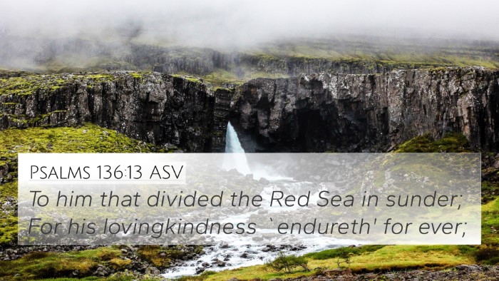 Psalms 136:13 ASV Bible Verse Image