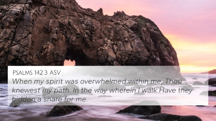 Psalms 142:3 ASV Bible Verse Image