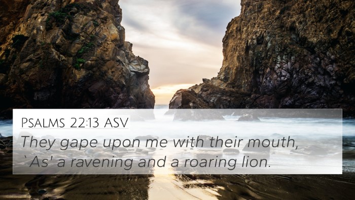 Psalms 22:13 ASV Bible Verse Image