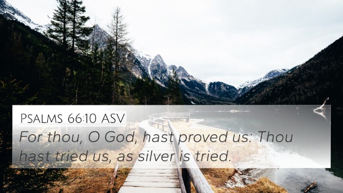 Psalms 66:10 ASV Bible Verse Image
