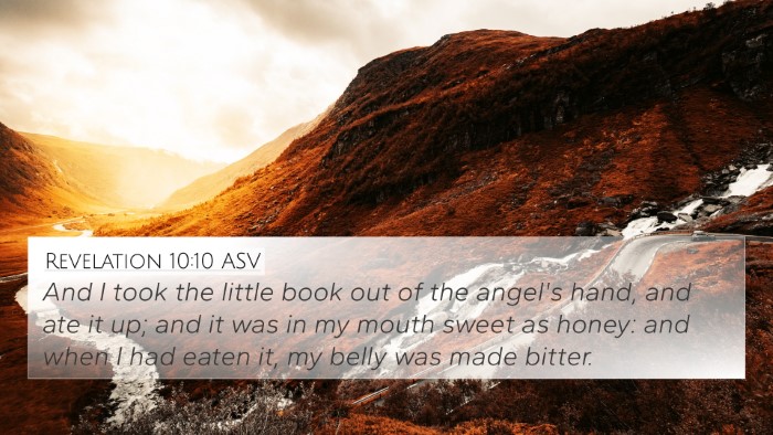 Revelation 10:10 ASV 4K Wallpaper - And I took the little book out of the angel's - 4K Wallpaper Bible Verse