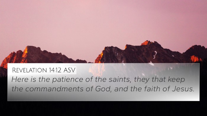 Revelation 14:12 ASV Bible Verse Image