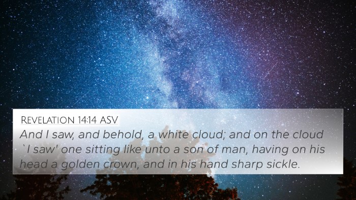 Revelation 14:14 ASV Bible Verse Image