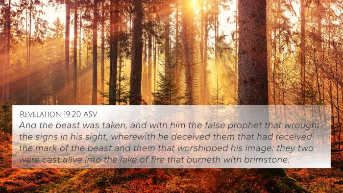 Revelation 19:20 ASV Bible Verse Image