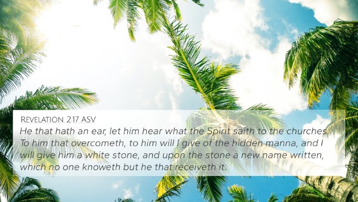 Revelation 2:17 ASV Bible Verse Image