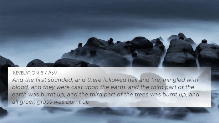 Revelation 8:7 ASV Bible Verse Image