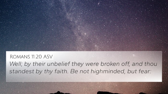 Romans 11:20 ASV Bible Verse Image