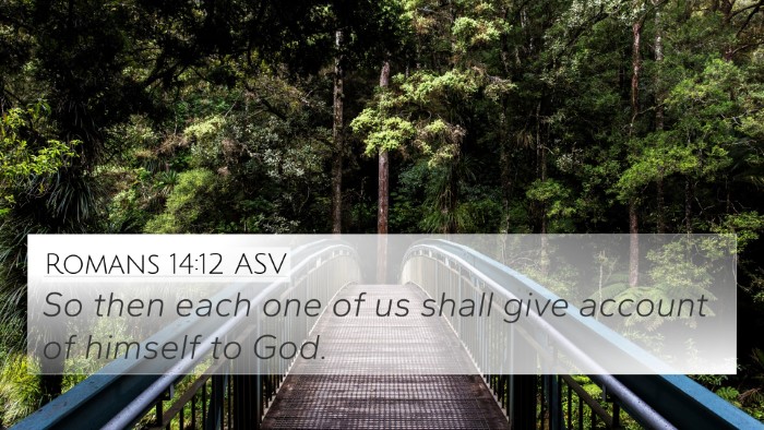 Romans 14:12 ASV Bible Verse Image