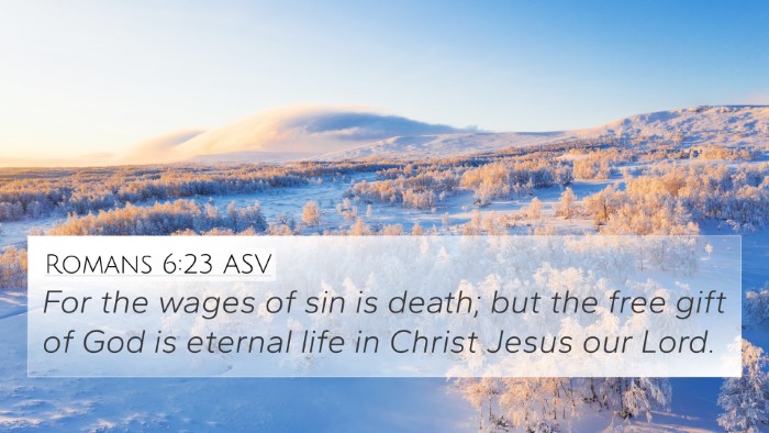 Romans 6:23 ASV Bible Verse Image