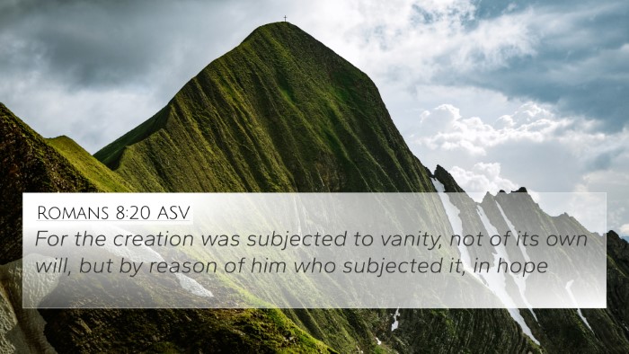 Romans 8:20 ASV Bible Verse Image