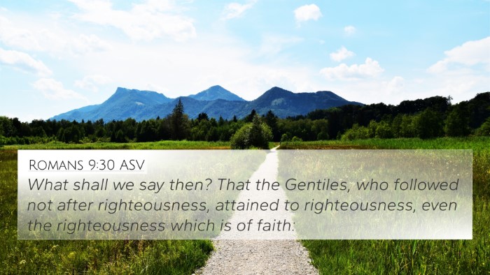 Romans 9:30 ASV Bible Verse Image