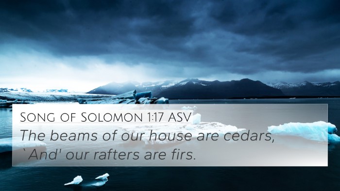 Song of Solomon 1:17 ASV Bible Verse Image