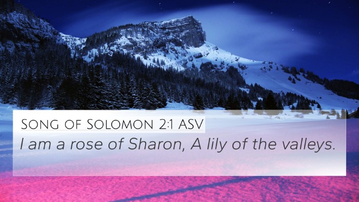 Song of Solomon 2:1 ASV Bible Verse Image