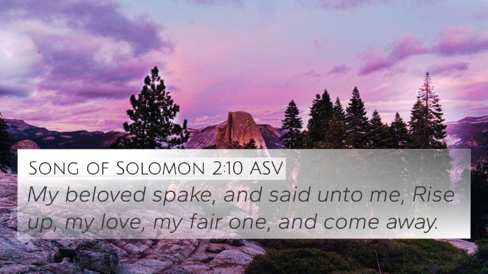 Song of Solomon 2:10 ASV Bible Verse Image