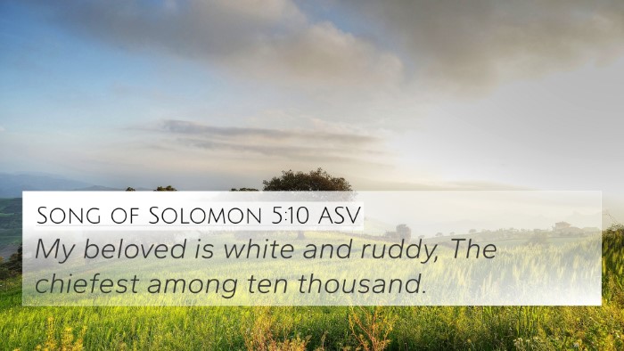 Song of Solomon 5:10 ASV Bible Verse Image