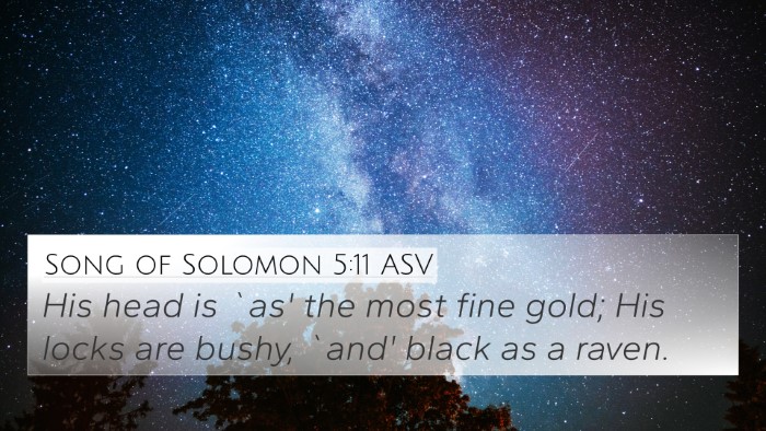 Song of Solomon 5:11 ASV Bible Verse Image